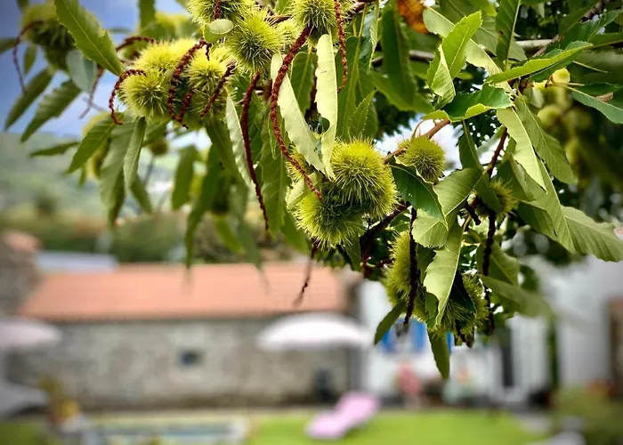 Casa Do Priolo - Villaverde Azores 度假居 *