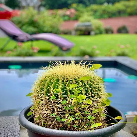 度假居 Casa Do Priolo - Villaverde Azores *