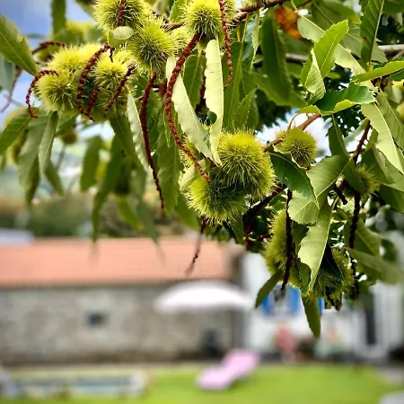 Casa Do Priolo - Villaverde Azores 度假居 *
