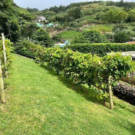 펜션 Casa Do Priolo - Villaverde Azores Feteiras