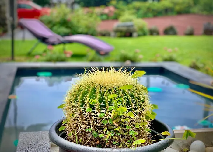 Casa de Férias Casa Do Priolo - Villaverde Azores *