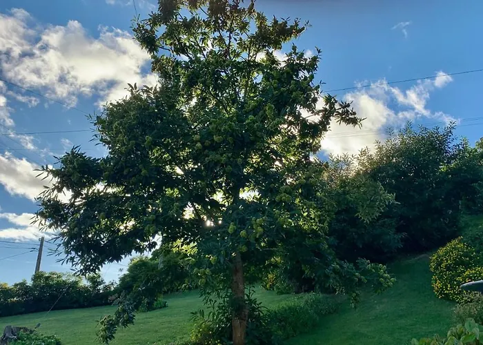 Casa Do Priolo - Villaverde Azores *