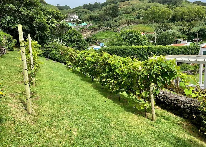 Casa de Férias Casa Do Priolo - Villaverde Azores Feteiras